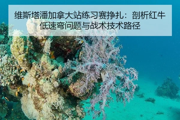 维斯塔潘加拿大站练习赛挣扎：剖析红牛低速弯问题与战术技术路径